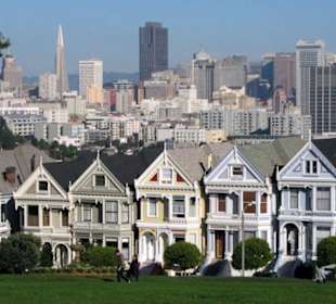 Painted Ladies