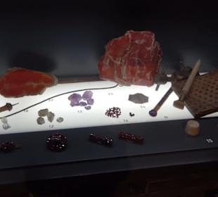 Museum Natur und Mensch