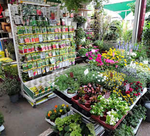 Rundgang durch die Markthalle am Carlsplatz