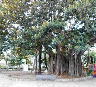 Park der Villa Mazzini