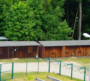 Das Oberbecken Happurger Stausee