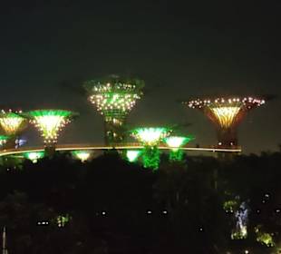 Super Trees bei Nacht 