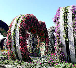 Miracle Garden
