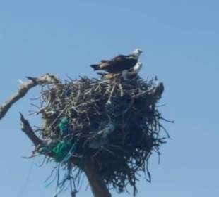 Santi Tour - Sian Kaan