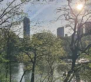 Skyline