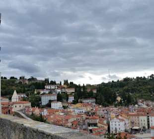 Blick von der Kathedrale hinunter auf Piran