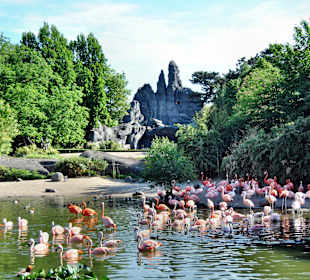 Tierpark Hagenbeck