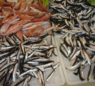 Impressionen aus dem Mercato Civico von Alghero