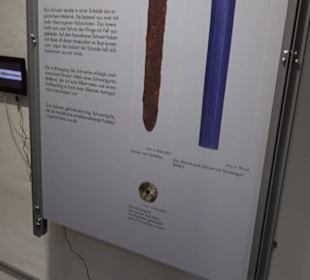 Museum Römer und Bajuwaren