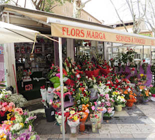 Blumenstand auf der Rambla