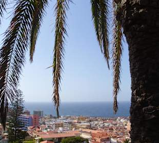 Blick vom Taoro Park