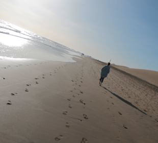 Szeroka plaża i ocean
