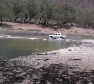Auto durch's Wadi