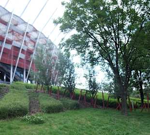 Stadion Narodowy - teren rekreacyjny