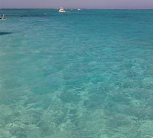 Cayman Island (Rochen Tour)