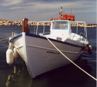 Naoussa