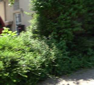 Historischer Rundweg Gönningen