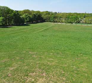 Blick vom Nußberg über den Prinz-Albrecht-Park