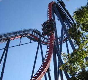 Sheikra