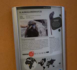 Tierpark Hellabrunn - Welt der Affen