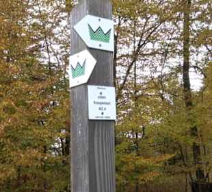 Schaukel auf den Knaupwiesen