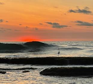 Wellen im Sonnenuntergang