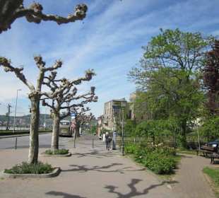 Altstadt Rüdesheim
