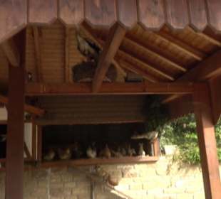 Erlebnispark Tripsdrill