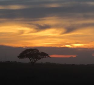 Amboseli Nationalpark