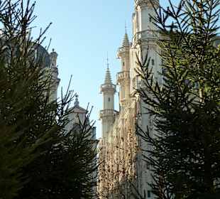 Rathaus im Tannenwald