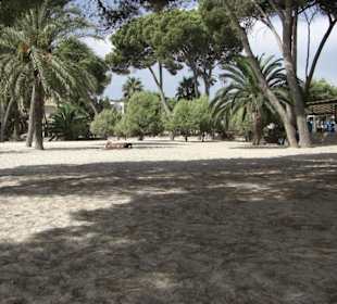 Strand von Palma Nova