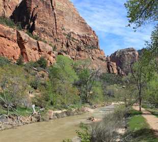 Fluss im Zion Nationalpark
