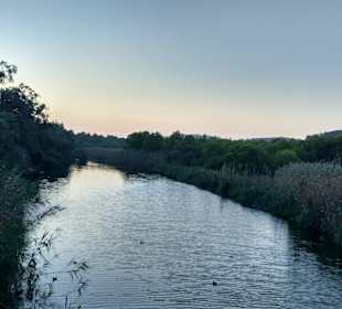 Wanderung Puig de Son Jordi