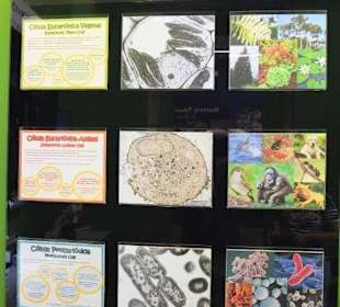 Infotafel