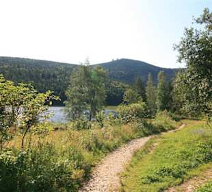 Kleiner Abersee in Lohberg