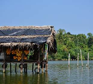 Bentota Fluss- und Mangroven Tour