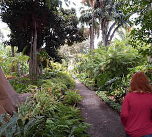 Im Jardín de aclimatación de La Orotava
