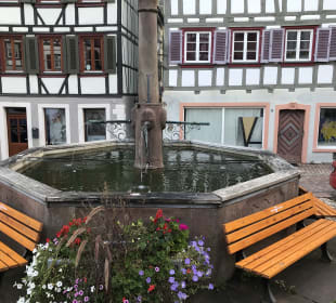 Stadtbrunnen Schiltach