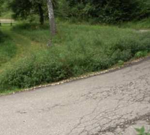 Wanderparkplatz Rietheimer Bahnhöfle