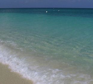 Türkisblaues Wasser