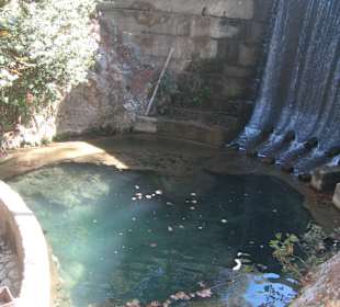 Seven Springs