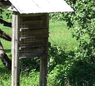 Eduard Lucas Musterobstgarten Mähringen
