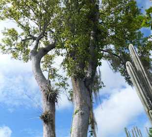 Ausnahme von der Regel.