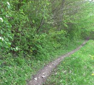 Wandertour durchs Reissenbachtal Oberhausen