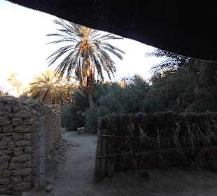 Palmenoase und Kutschfahrt