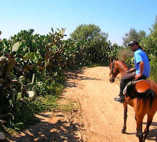 Reitausflug ins Hinterland