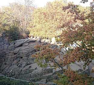 Blick auf das Affengelände vom Bikini-Haus aus