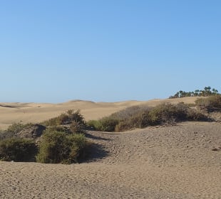 Strand Playa del Ingles