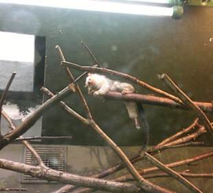 Zoo Olomouc
