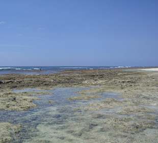 Ausflug Glasbodenboot Diani Beach